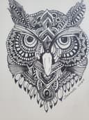 Owl Head Drawing
