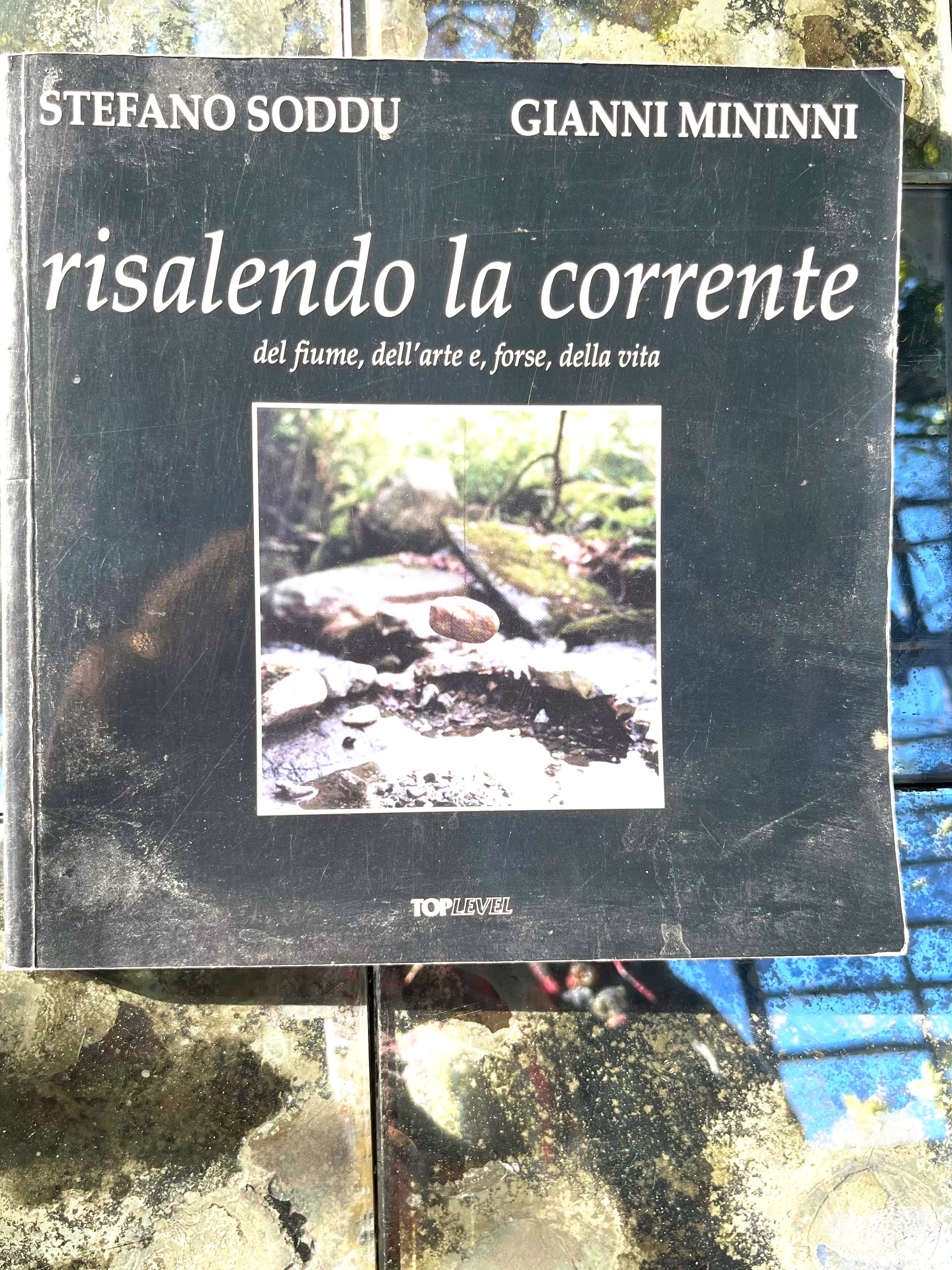Book Cover - Risalendo la corrente