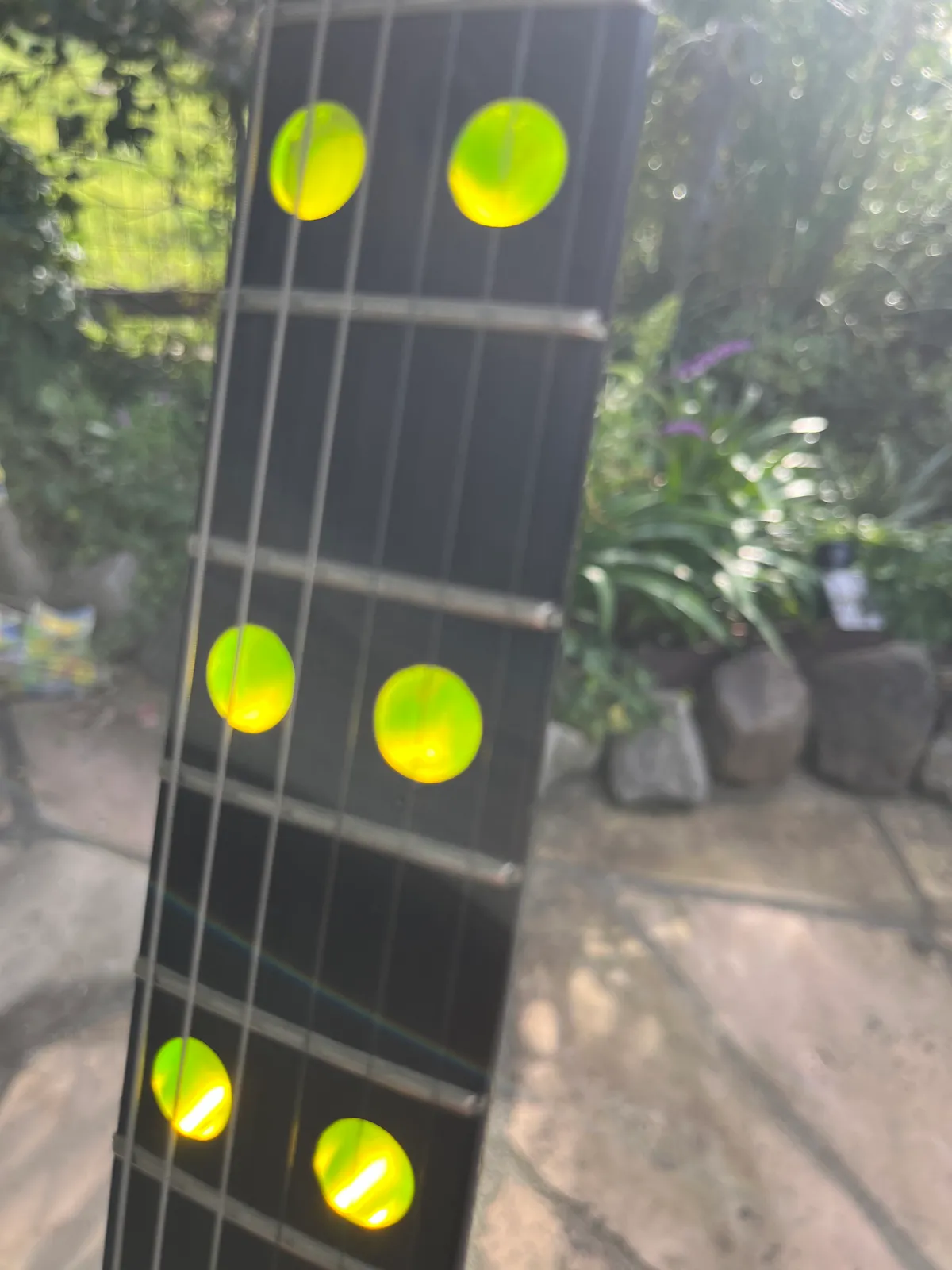 The Frets
