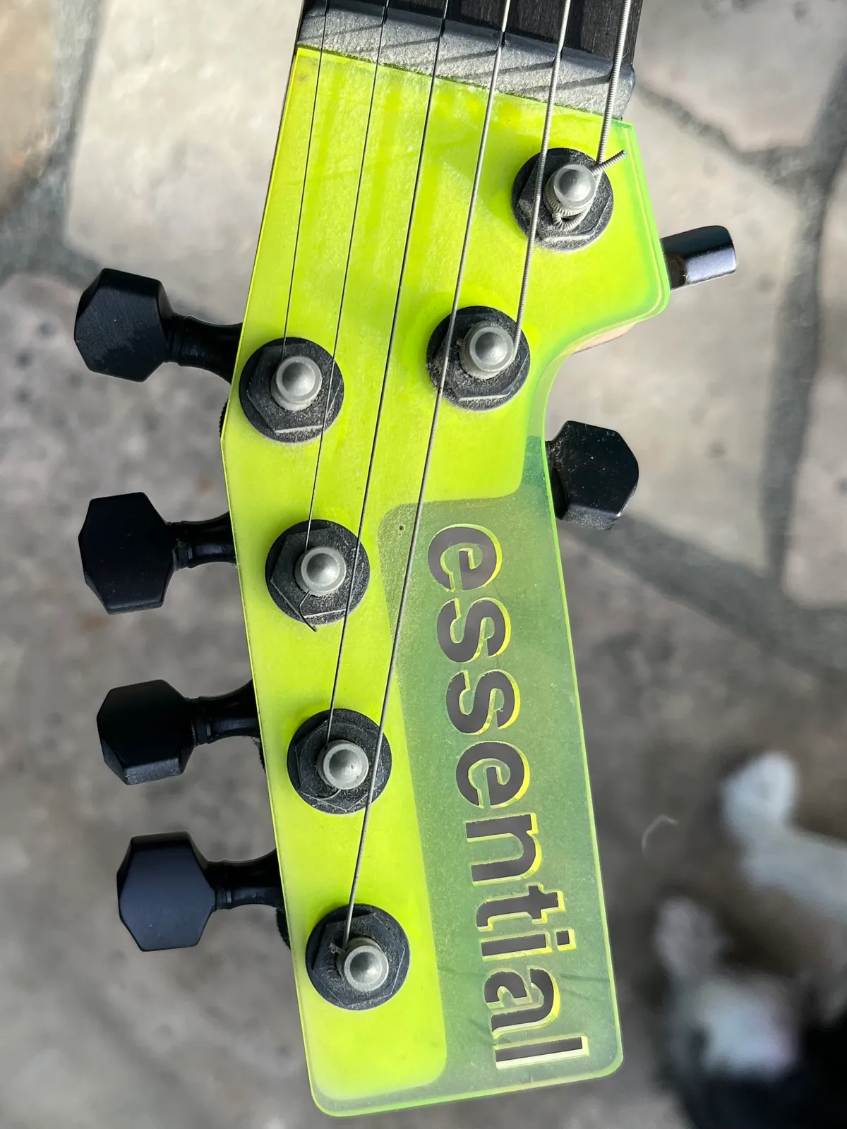 The neck