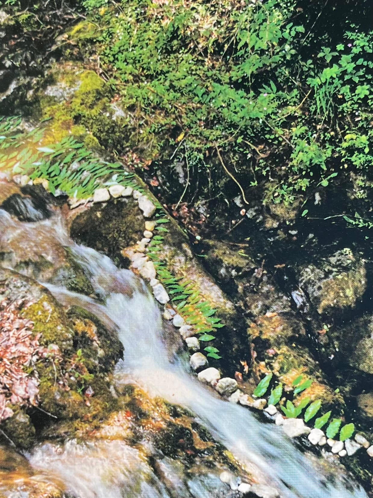 Water installation with leaves and wood