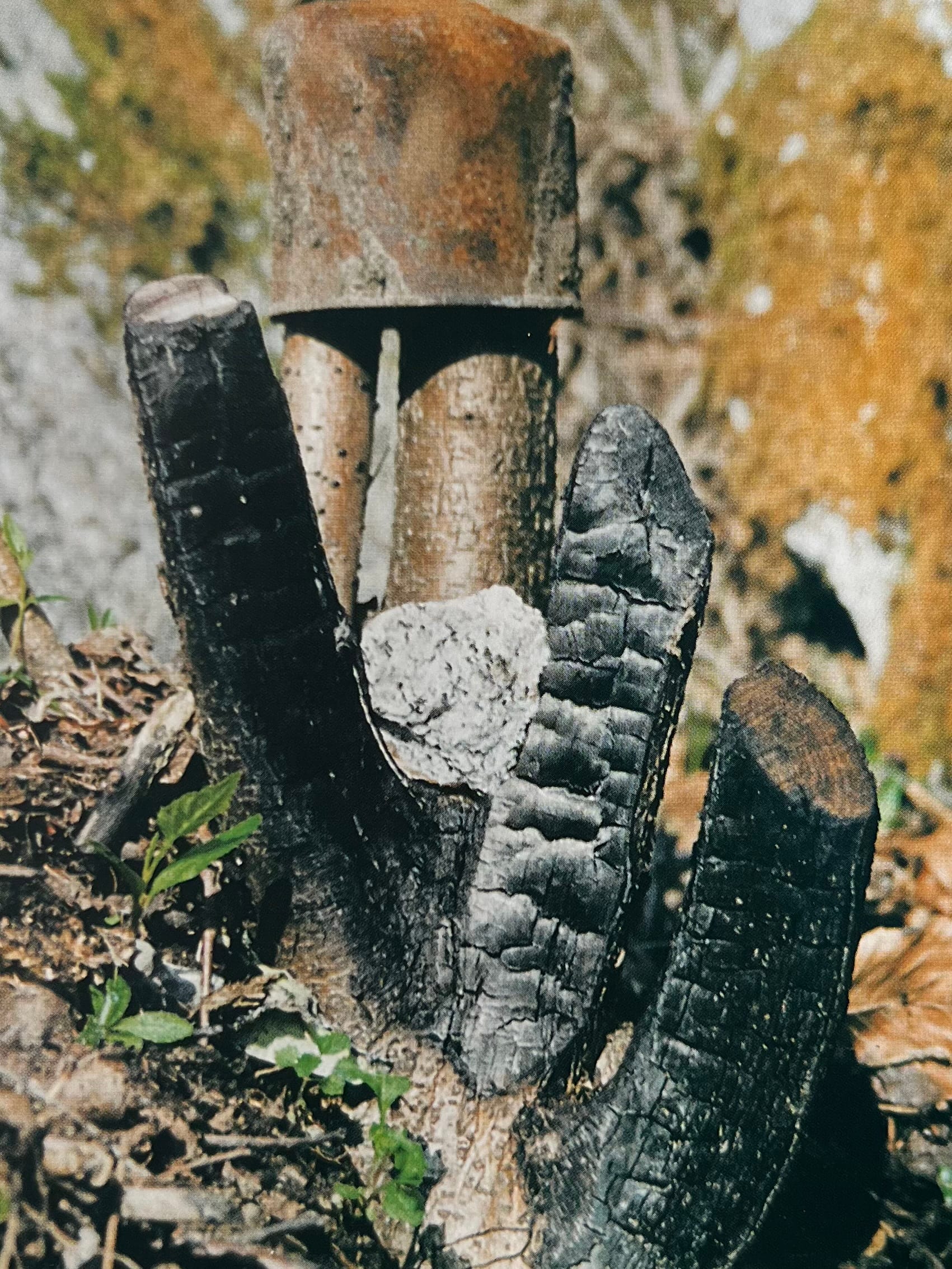 Sculpture from railway ties